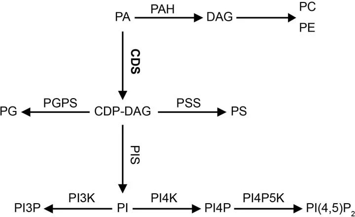 图323063002.jpg